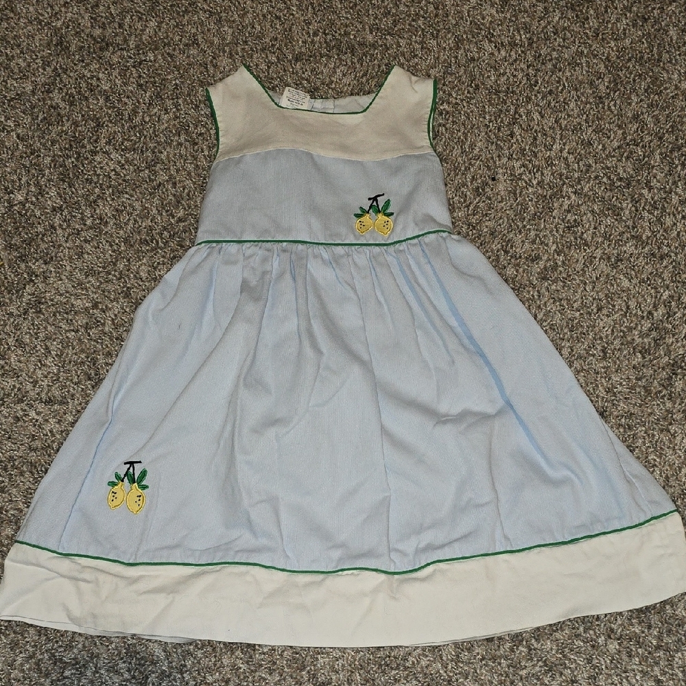 bella bliss Light Blue & White Dress with Lemon Embroidery